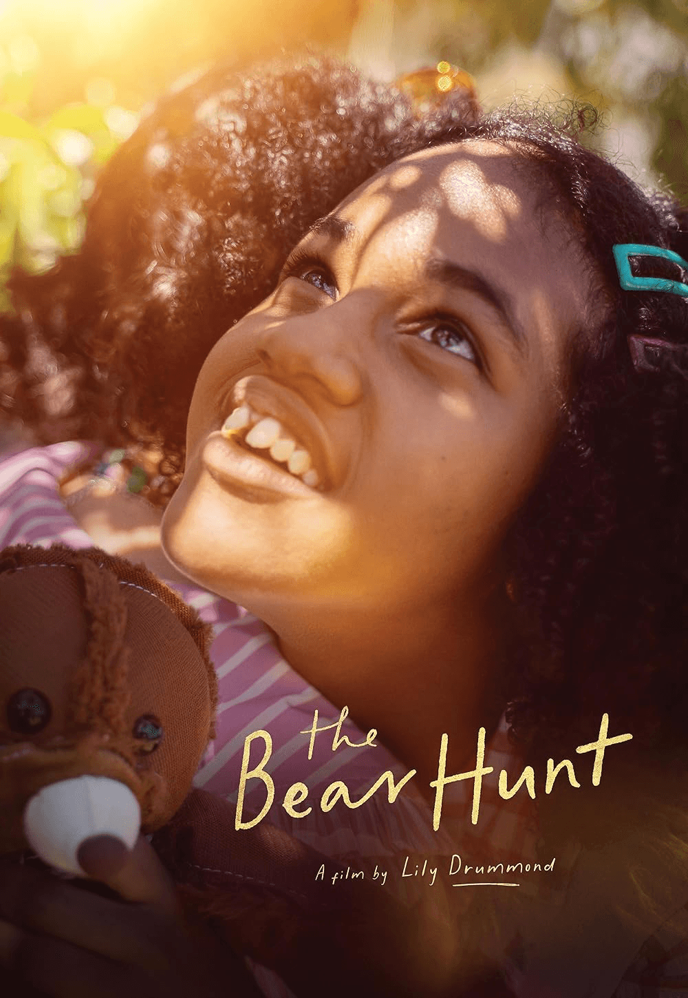 The Bear Hunt Banner