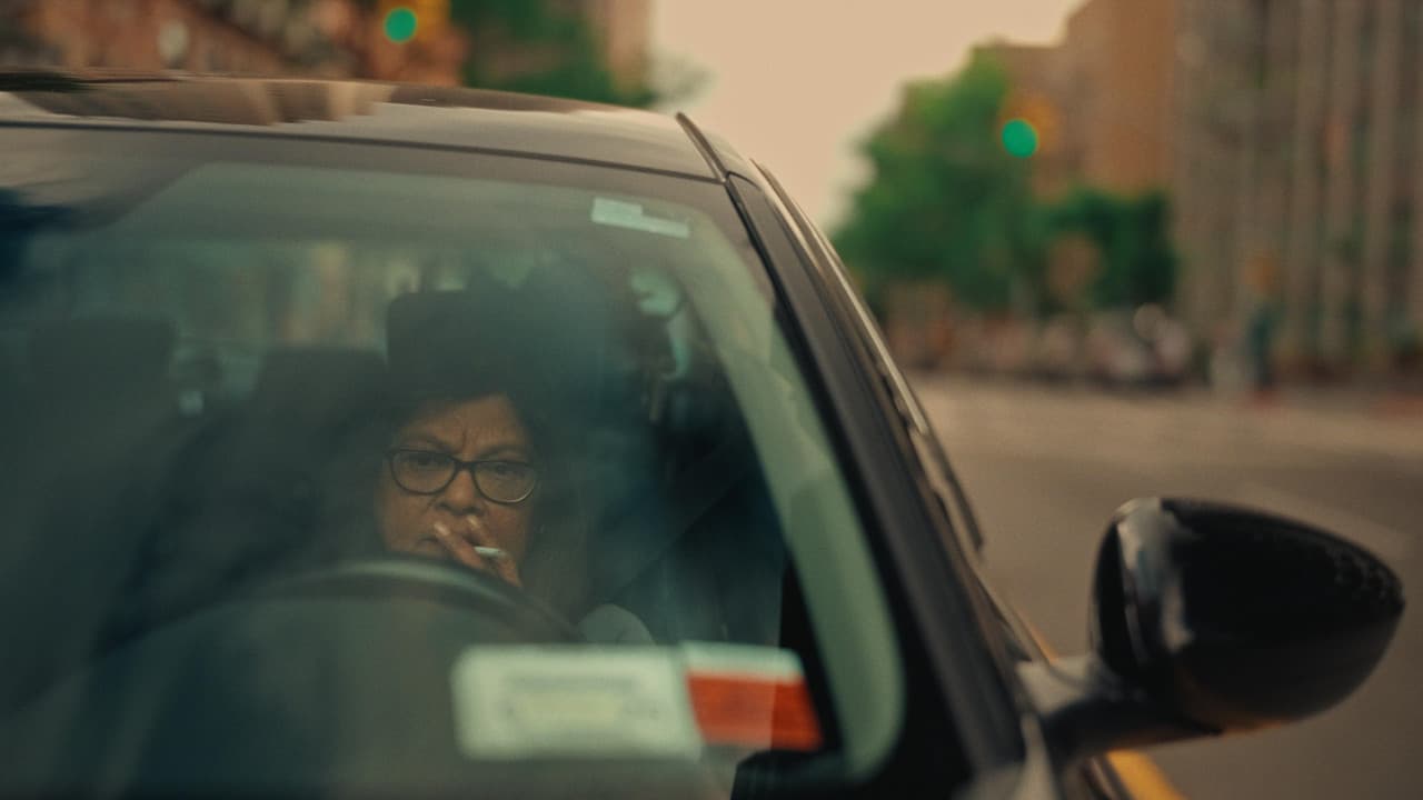 Shanti Rides Shotgun Banner