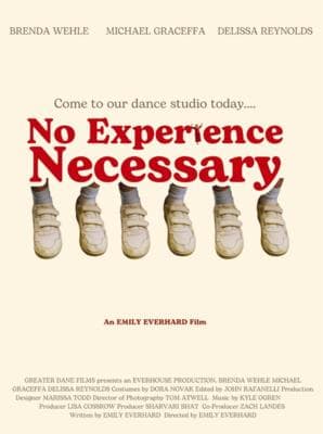 No Experience Necessary poster