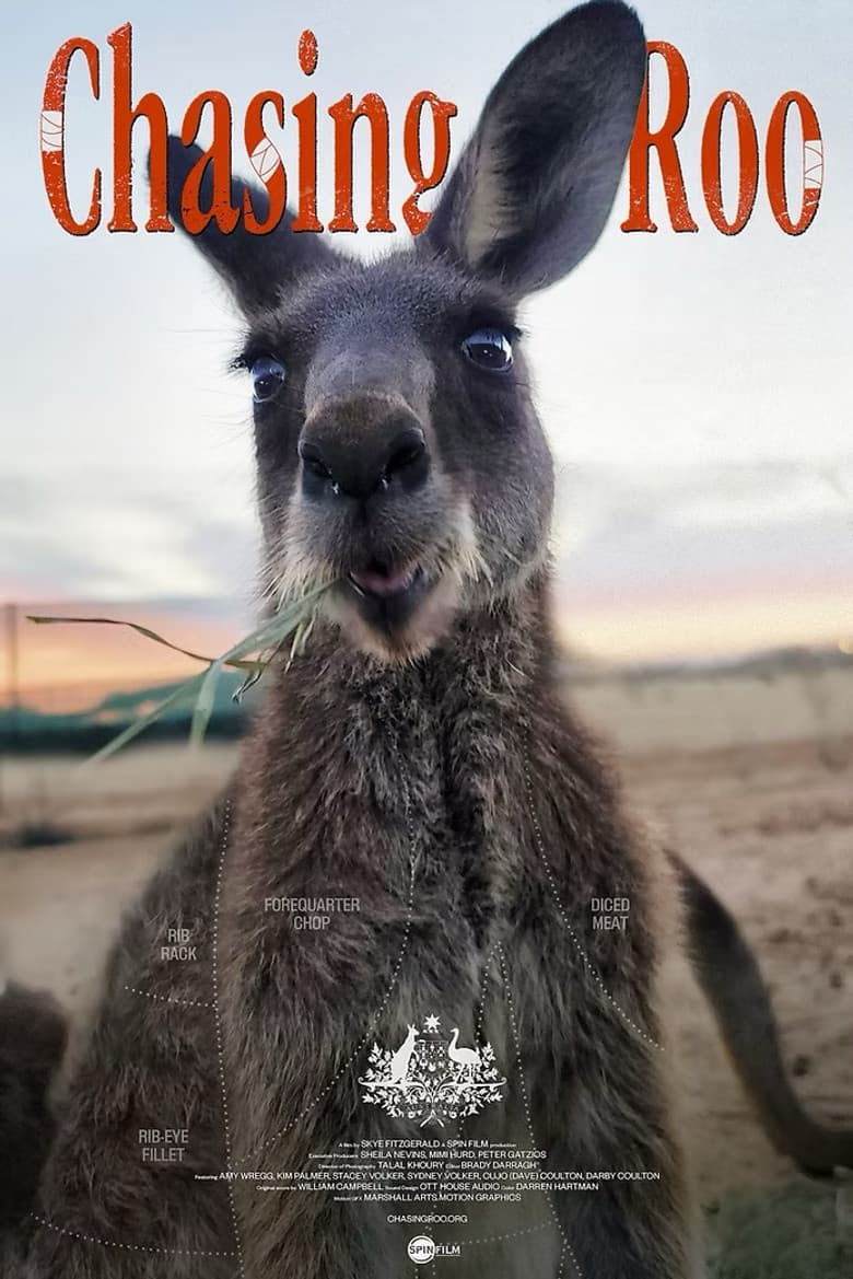 Chasing Roo Banner