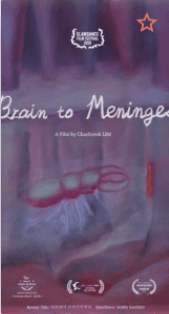 Brain to Meninges